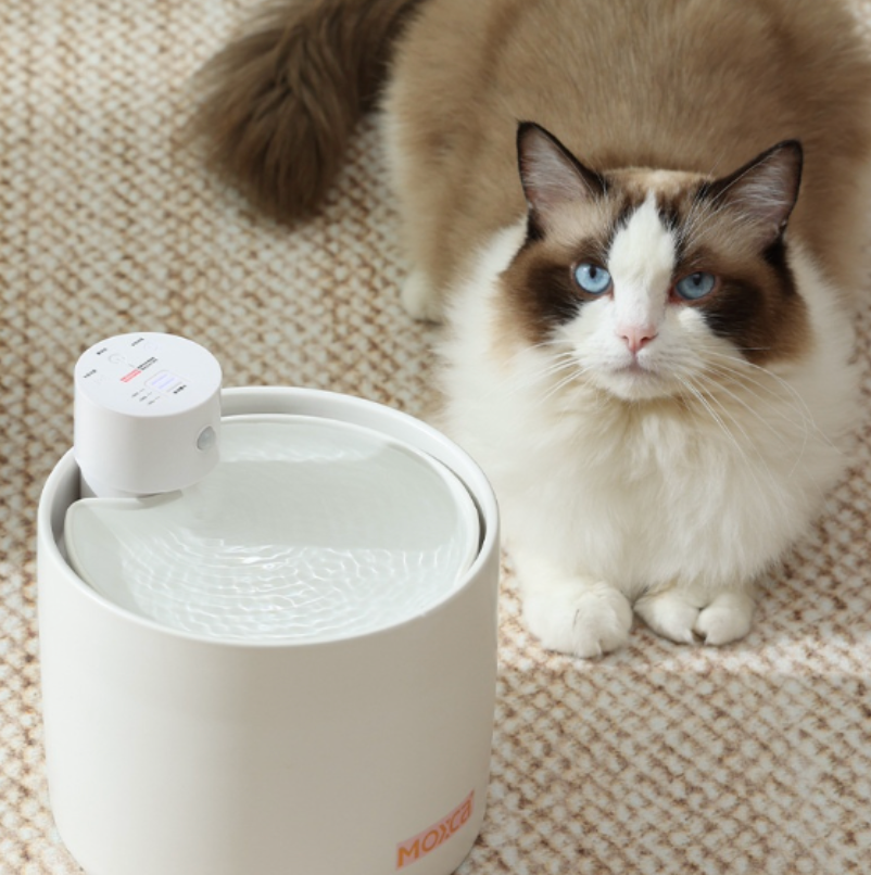 Fuente Inteligente AquaFlow™ Premium para Gatos