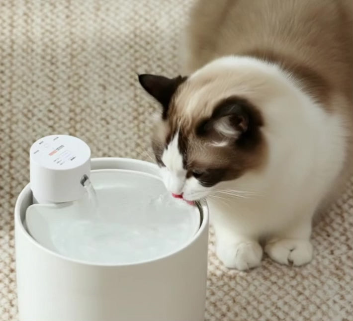 Fuente Inteligente AquaFlow™ Premium para Gatos