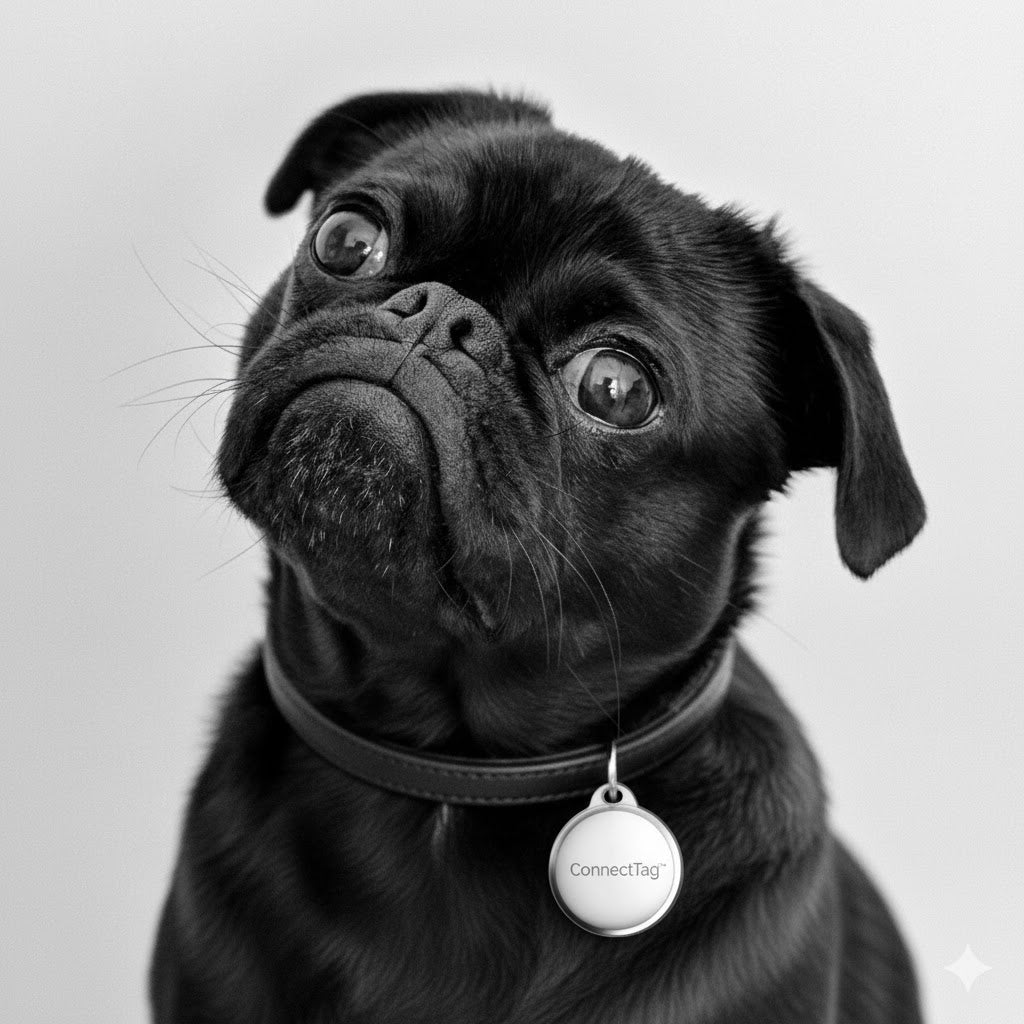 Mini Localizador Inteligente ConnectTag™